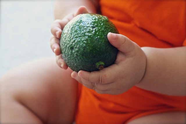 Alimentation enfants. Alimentation bébés. Diététique.