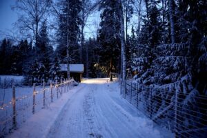 Lire la suite à propos de l’article Célébrez Yule et le retour de la Lumière