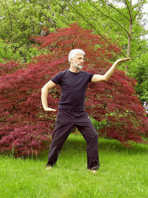 Gi Gong. Tai Chi Chuan. Médecine traditionnelle chinoise.