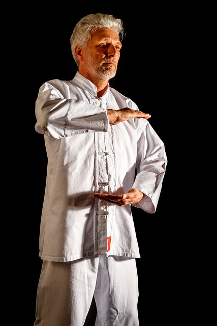 Tai Chi. Qi Gong. Médecine traditionnelle chinoise.