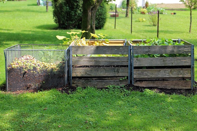 Compost. Accélérateur de compost. Ortie